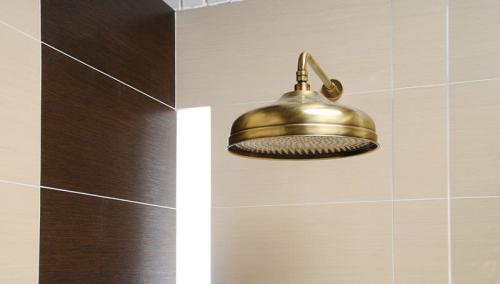 Deszczownia okrągła retro brąz o średnicy 30 cm SOF3006 Sapho wizualizacja