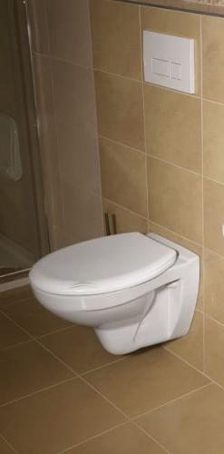 Miska WC podwieszana 36 x 54,5 cm biały TAURUS LC1582 Aqualine