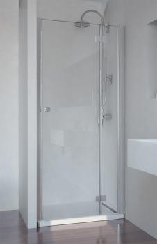 SMARTFLEX Drzwi prysznicowe do wnęki skrzydłowe, prawe 110x195 cm D12111R Sanotechnik