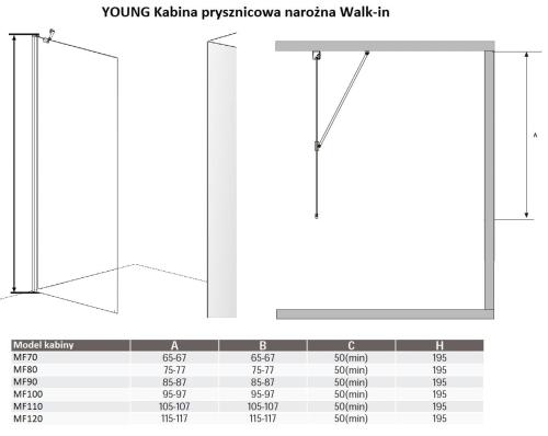 Kabina prysznicowa Walk-in narożna 80 x 195 cm YOUNG MF80 Sanotechnik wymiary