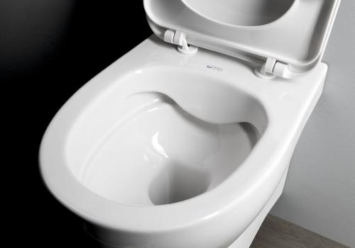 Miska WC podwieszana biały RIMLESS 35 x 50 cm ABSOLUTE 10AB02002 Isvea z góry