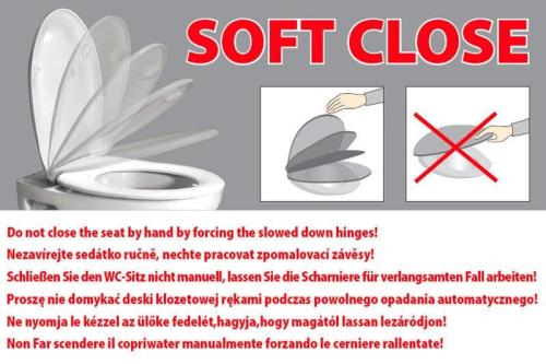 Deska WC wolnoopadająca Ivory INFINITY 40KF0532I-S Isvea grafika